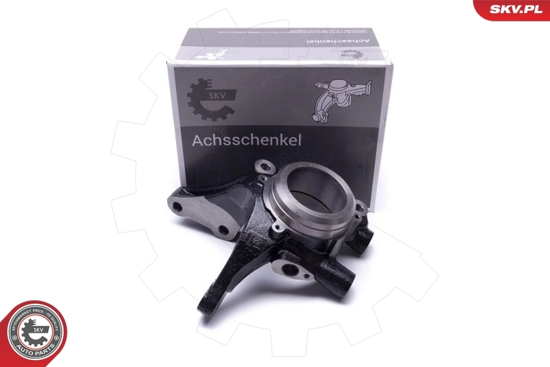 Steering Knuckle, wheel suspension